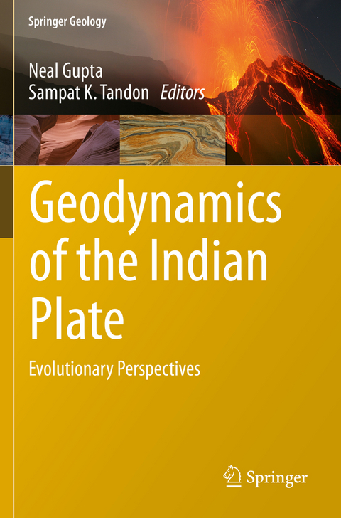 Geodynamics of the Indian Plate - 