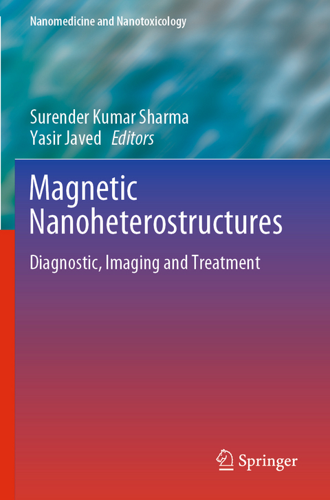 Magnetic Nanoheterostructures - 