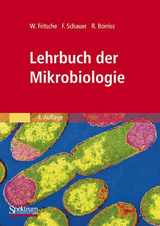 Lehrbuch der Mikrobiologie - Fritsche, Wolfgang; Schauer, Frieder; Borriss, Rainer