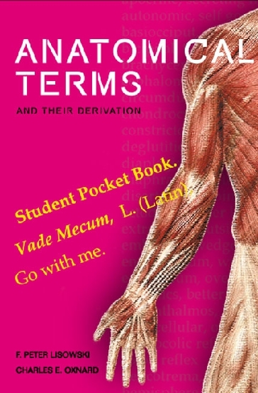 Anatomical Terms And Their Derivation - Frederick Peter Lisowski, Charles Oxnard