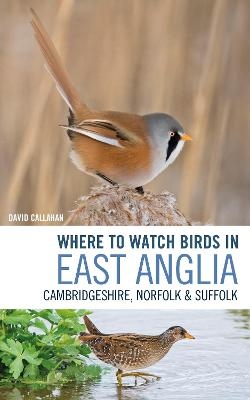 Where to Watch Birds in East Anglia - David Callahan