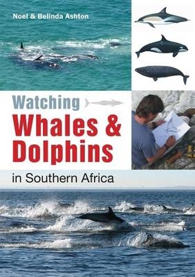 Watching Whales & Dolphins in Southern Africa -  Noel Ashton