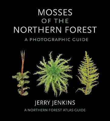 Mosses of the Northern Forest - Jerry Jenkins