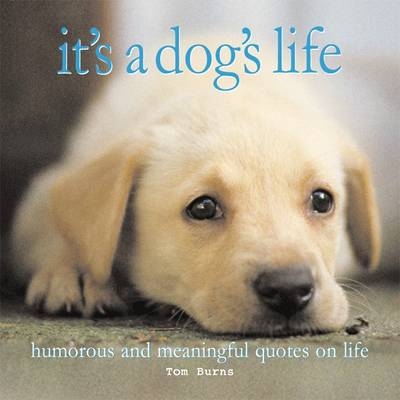 Dog's Life -  Tom Burns