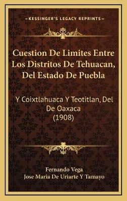 Cuestion De Limites Entre Los Distritos De Tehuacan, Del Estado De Puebla - Fernando Vega, Jose Maria De Uriarte y Tamayo