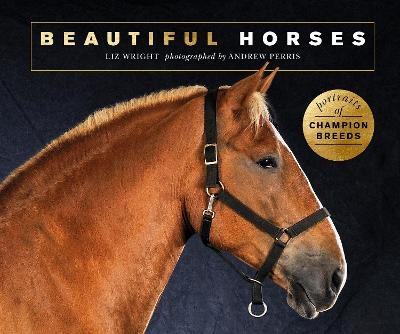 Beautiful Horses - Liz Wright