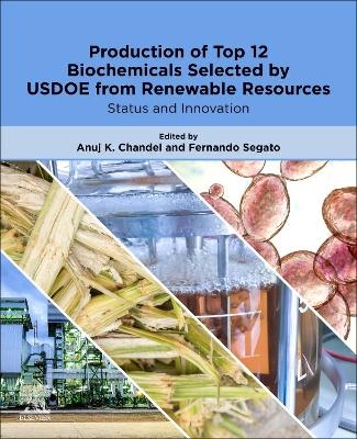 Production of Top 12 Biochemicals Selected by USDOE from Renewable Resources - 