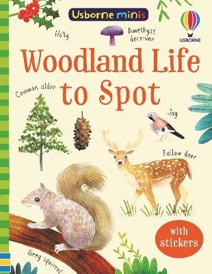 Woodland Life to Spot - Kate Nolan