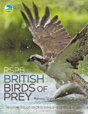 RSPB British Birds of Prey - Marianne Taylor