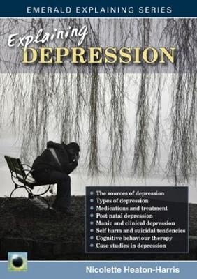 Explaining Depression -  Nicolette Heaton-Harris