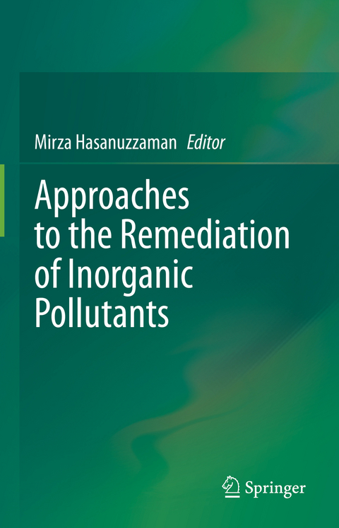 Approaches to the Remediation of Inorganic Pollutants - 