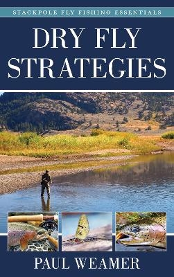 Dry Fly Strategies - Paul Weamer