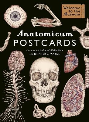 Anatomicum Postcard Box - Jennifer Z Paxton