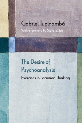 The Desire of Psychoanalysis - Gabriel Tupinambá