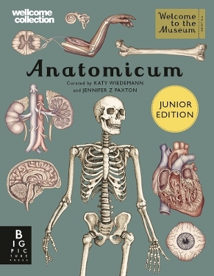 Anatomicum Junior - Jennifer Z Paxton