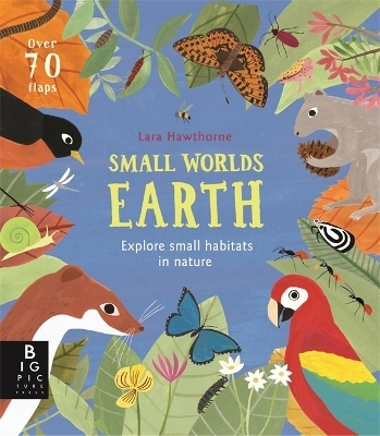 Small Worlds: Earth - Camilla de la Bedoyere