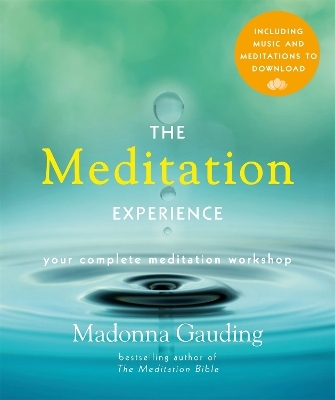 The Meditation Experience - Madonna Gauding