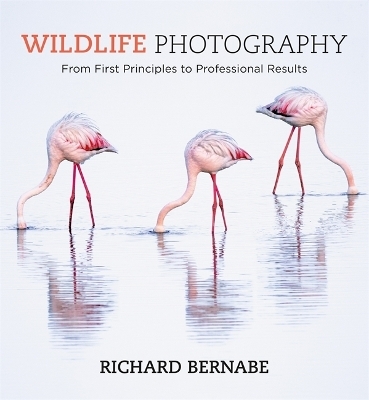 Wildlife Photography - Richard Bernabe