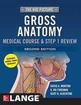 The Big Picture: Gross Anatomy, Medical Course & Step 1 Review, Second Edition - Morton, David; Foreman, K. Bo; Albertine, Kurt