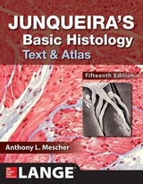 Junqueira's Basic Histology: Text and Atlas, Fifteenth Edition - Mescher, Anthony