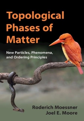 Topological Phases of Matter - Roderich Moessner, Joel E. Moore