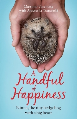 A Handful of Happiness - Massimo Vacchetta