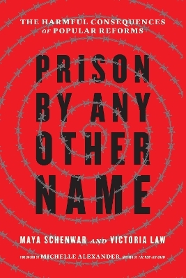 Prison by Any Other Name - Maya Schenwar, Victoria Law