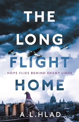 The Long Flight Home - A.L. Hlad