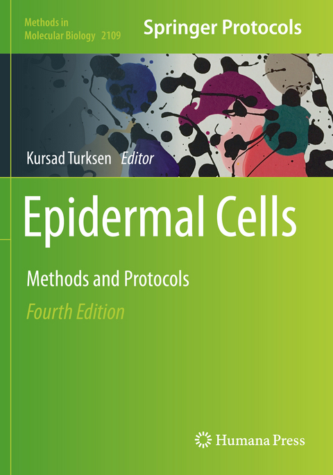 Epidermal Cells - 