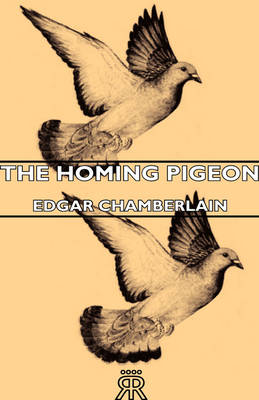 Homing Pigeon -  Edgar Chamberlain