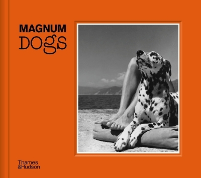 Magnum Dogs - Magnum Photos