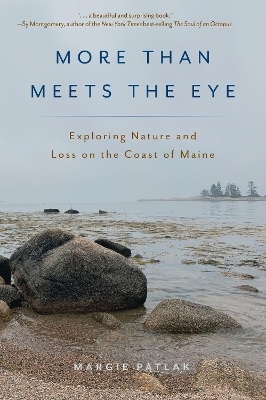 More Than Meets the Eye - Margie Patlak