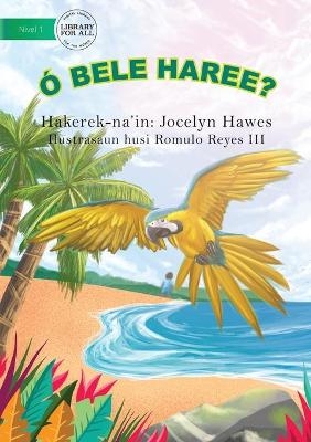 Look Can You See (Tetun edition) - Ó bele haree? - Jocelyn Hawes