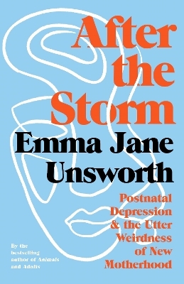 After the Storm - Emma Jane Unsworth