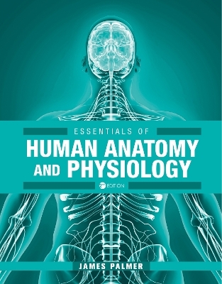 Essentials of Human Anatomy and Physiology - James Palmer