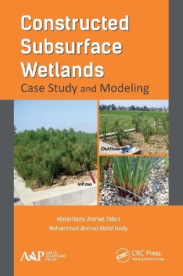 Constructed Subsurface Wetlands - Abdel Razik Ahmed Zidan, Mohammed Ahmed Abdel Hady