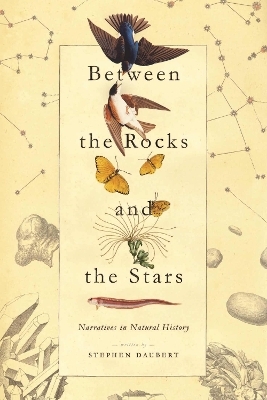 Between the Rocks and the Stars - Stephen Daubert