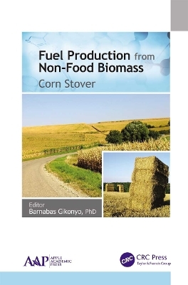 Fuel Production from Non-Food Biomass - 