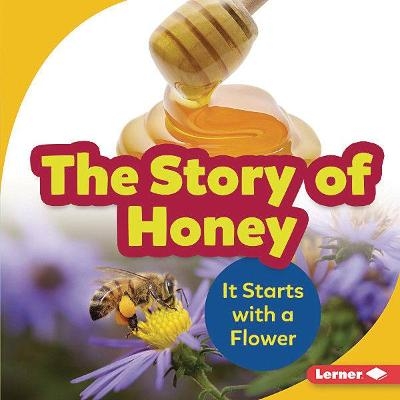 The Story of Honey - Robin Nelson