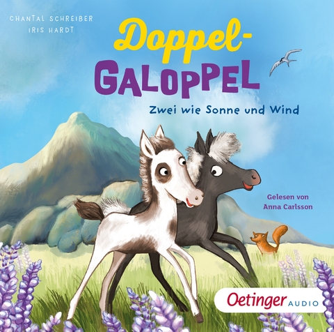 Doppel-Galoppel 1. Zwei wie Sonne und Wind - Chantal Schreiber