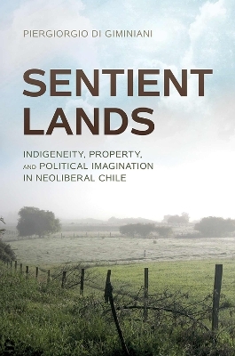 Sentient Lands - Piergiorgio Di Giminiani