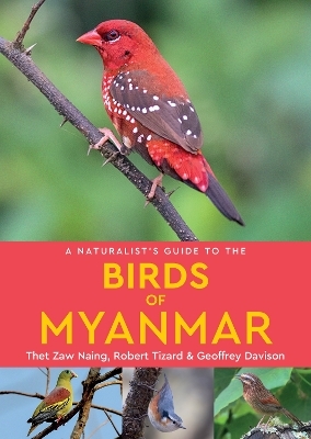 A Naturalist's Guide to the Birds of Myanmar - Robert Tizard, Thet Zaw Naing, Geoffrey Davison