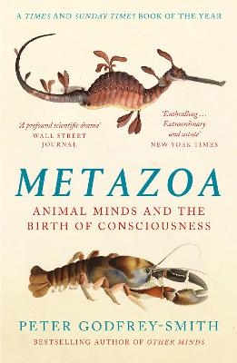 Metazoa - Peter Godfrey-Smith