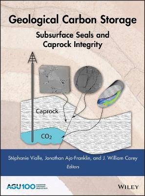 Geological Carbon Storage - 