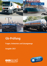 Gb-Prüfung inklusive E-Book - Holzhäuser, Jörg; Meyer, Irena