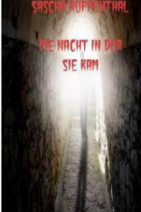 Die Nacht in der Sie kam - Sascha Ruppenthal