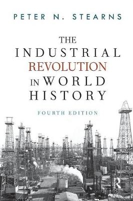 The Industrial Revolution in World History - Peter N. Stearns