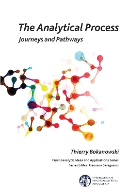 The Analytical Process - Thierry Bokanowski