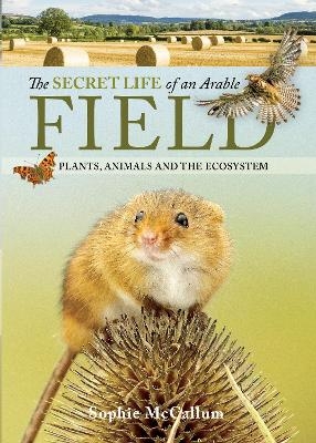 The Secret Life of an Arable Field - Sophie McCallum