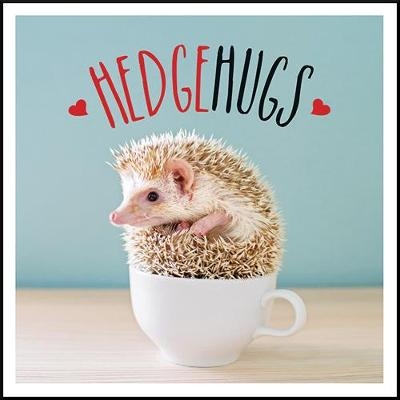 Hedgehugs - Charlie Ellis